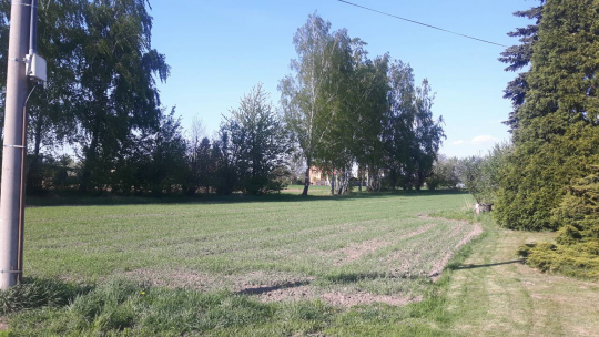 Nemovitá věc - pozemek