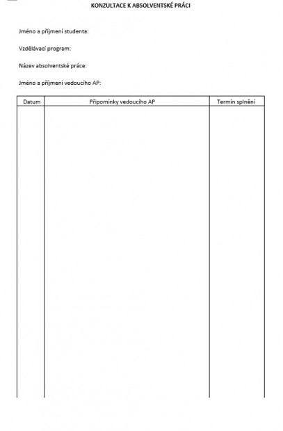 4. Vzor formuláře průběhu konzultací