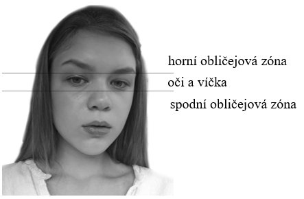 7. Obličejové zóny
