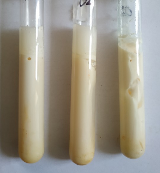 10. Sporotvorné anaerobní mikroorganizmy WT