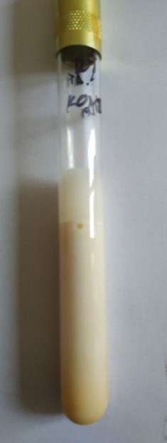 1. Weinzirlův test – kontrola živné půdy