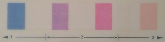 5. Vyhodnocení resazurinové zkoušky