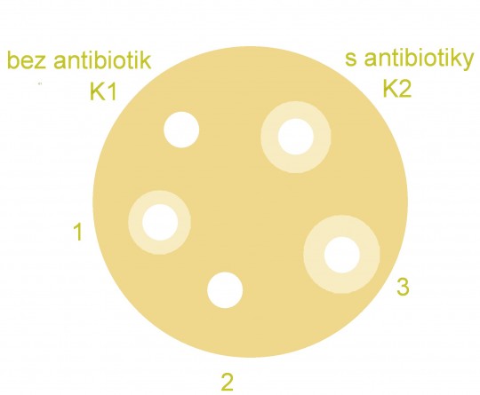 17. Vyhodnocení plotnové metody