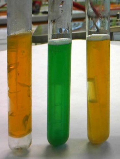 28. Vyhodnocení konfirmace E.coli