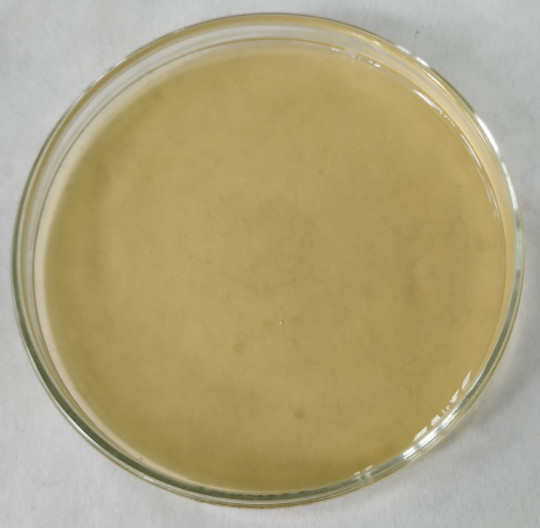 34. Živná půda SBA