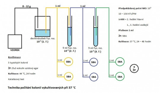 35. Schéma stanovení