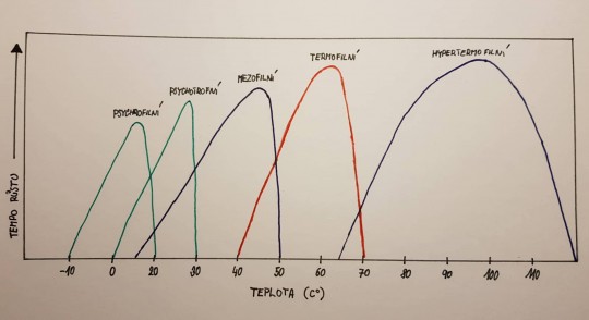 2. Rozdělení mikroorganismů podle vztahu k teplotě