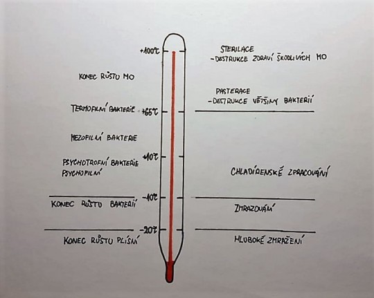 3. Růst mikroorganismů při různých teplotách
