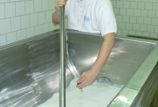 8. Temperace mléka na tvarohářské vaně