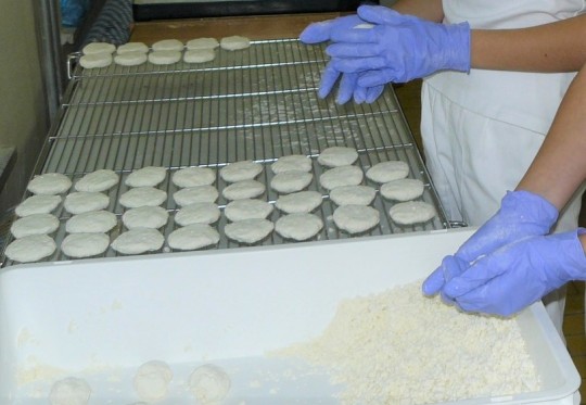 12. Příklad zpracování tvarohu – výroba tvarůžků