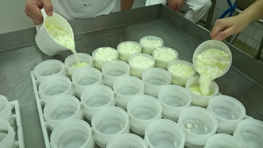 25. Plnění forem sýrovým zrnem