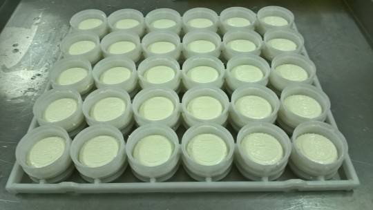 26. Odkapaný čerstvý sýr ve formách