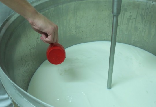 29. Zasýření mléka na výrobníku sýřeniny