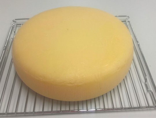 35. Bochník zralého tvrdého sýra