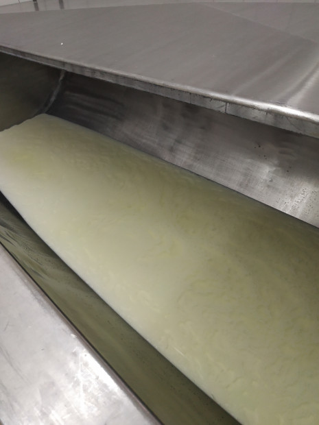 24. Vysrážená tvarohovina