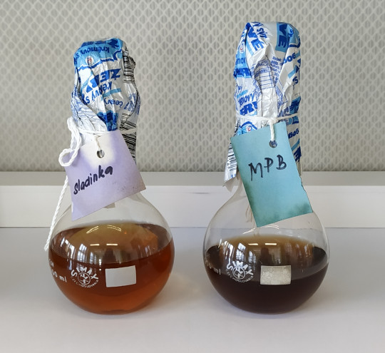 1. Tekutá živná půda v baňce