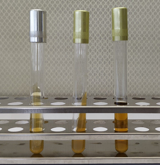 13. Šikmý agar, sloupec živné půdy