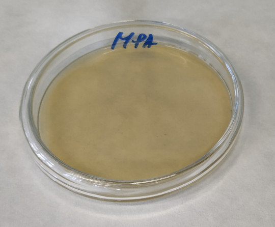 14. Petriho miska s živnou půdou