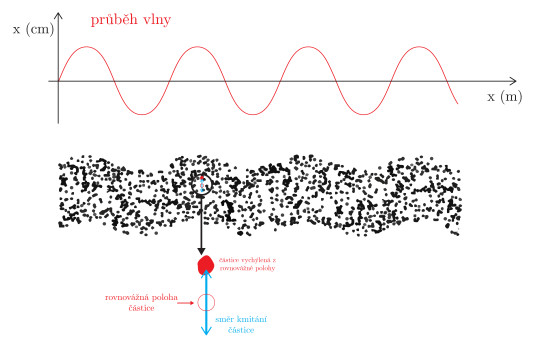 78. Princip příčného šíření vln v závislosti na změně okamžité výchylky vlny