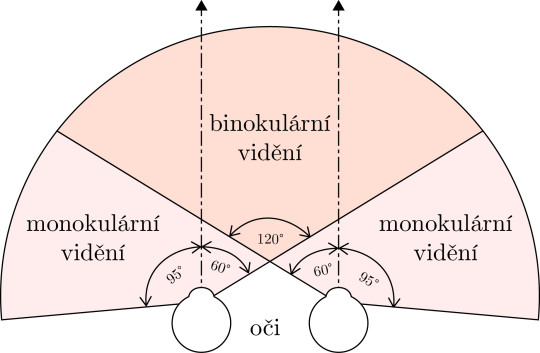 3. Zorné pole lidského zraku v horizontální rovině