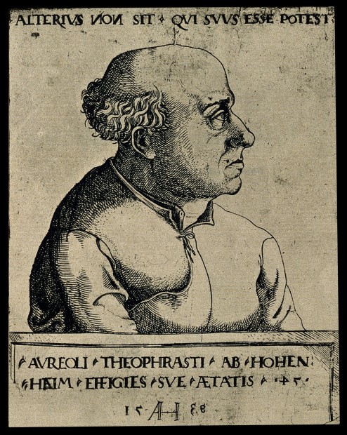 3. Paracelsus