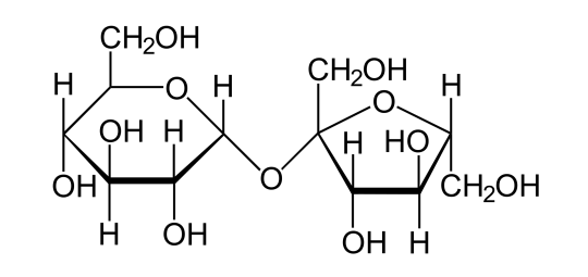 9. Disaccharid (Saccharose).