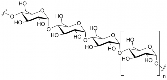 10. Polysaccharid (Amylose).