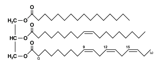 11. Triglycerid.