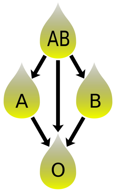 8. Plasma-Kompatibilität