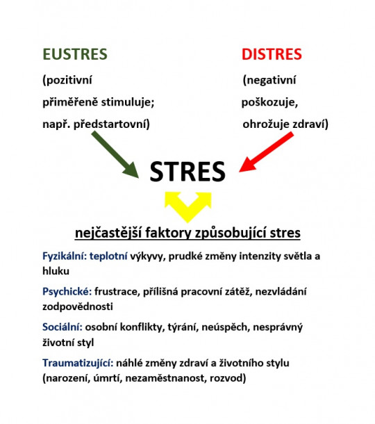 34. Eustres, distres