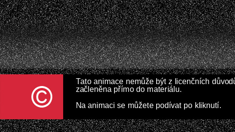 Tuto animaci nelze začlenit do materiálu.