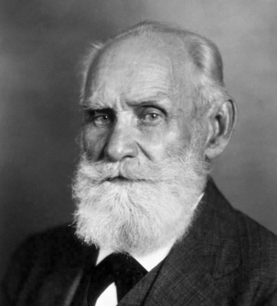 8. I. P. Pavlov