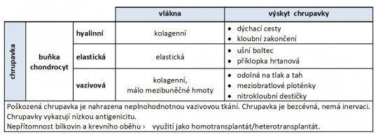 5. Chrupavka – dělení, charakteristika