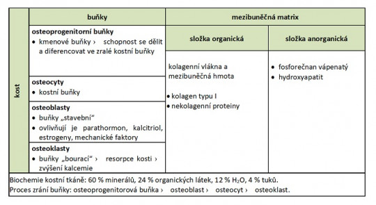 6. Kost – charakteristika