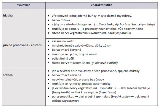 9. Tkáň svalová – dělení, charakteristika