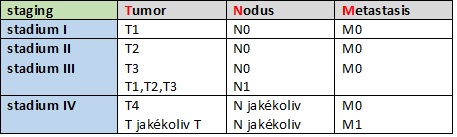 22. Klasifikace nádorového onemocnění.
