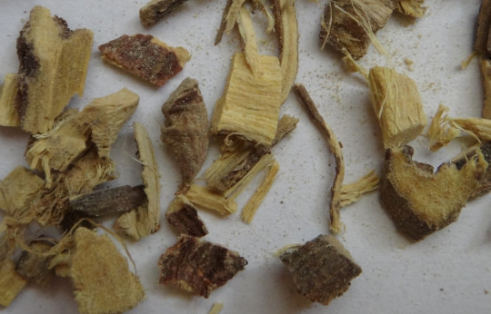 20. Droga Liquiritiae radix