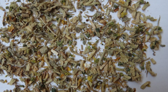 22. Droga Primulae radix