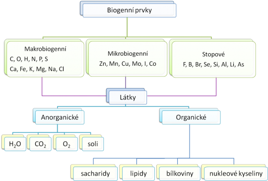 1. Prvkové a látkové zastoupení v organismu