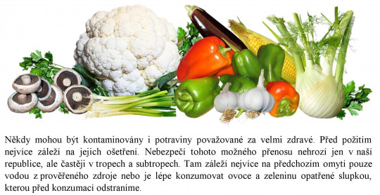 12. Potraviny jako možné vehikulum infekčních nemocí