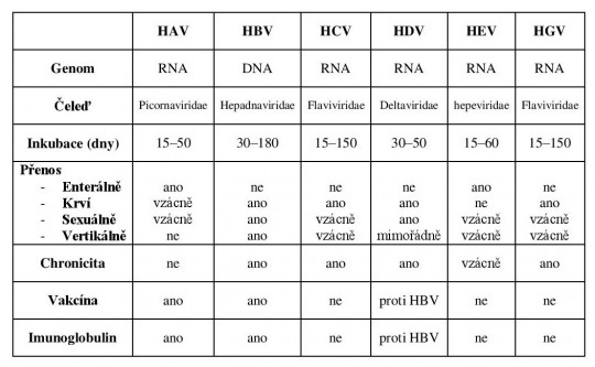 39. Základní charakteristika hepatitid a jejich původců