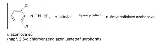 16. Princip stanovení bilirubinu