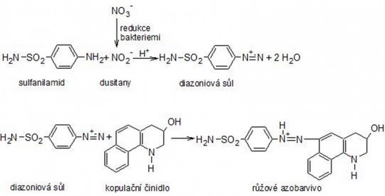 20. Princip stanovení dusitanů diagnostickými proužky