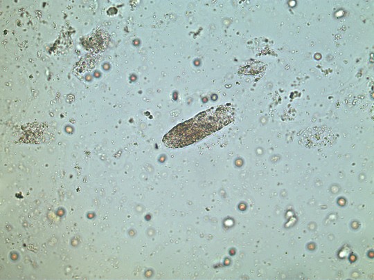 28. Granulovaný válec nebarvený (foto Ing. Ivana Hupáková, ÚKBH Plzeň)