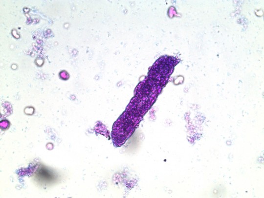 29. Granulovaný válec barvený (foto Ing. Ivana Hupáková, ÚKBH Plzeň)