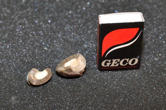 40. Oxalát + apatit (Ing. Ivana Hupáková, ÚKBH Plzeň)