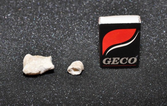 46. Apatit (Ing. Ivana Hupáková, ÚKBH Plzeň)