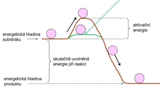 Enzymy snižují aktivační energii – analogie s kuličkou, padající z kopce a překonávající val