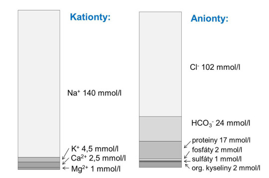 Průměrná koncentrace hlavních kationtů a aniontů v extracelulární tekutině (krevní plazmě) (v milimolech ekvivalentů)