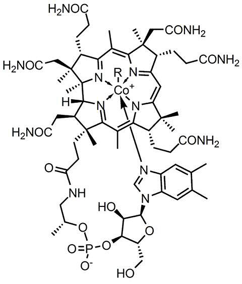 Vzorec vitaminu B12 (cyanokobalaminu)
